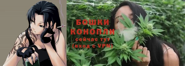 трава Новокубанск