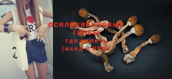 трава Новокубанск
